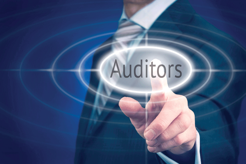 Auditors